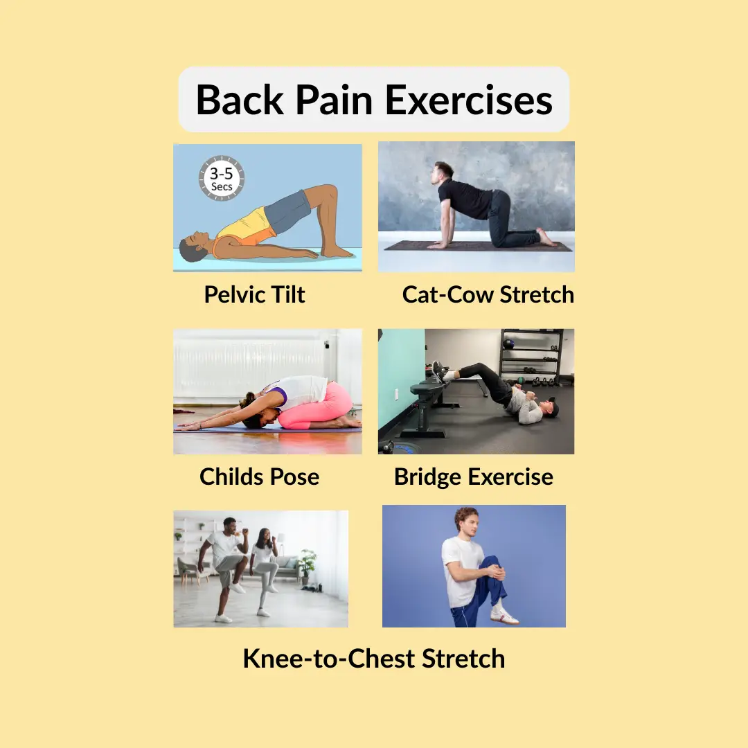 Back Pain Exercises: A Natural Way to Relief and Strength